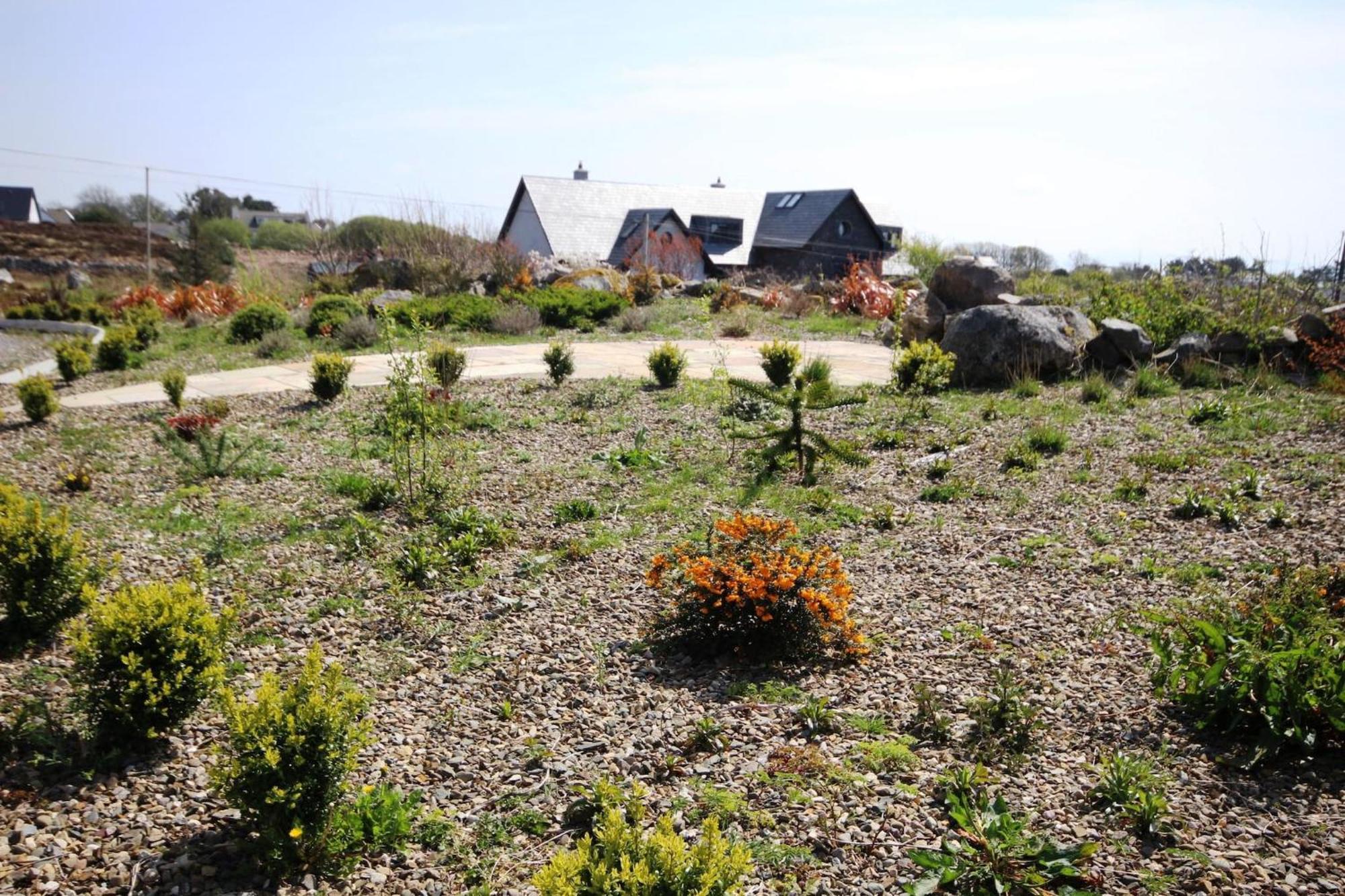 The Uplands Villa Spiddal Exterior photo